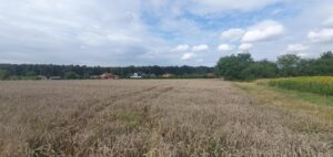 Piękna działka budowlana blisko lasu- 17ar-Świdnik | ogłoszenia Lubelskie