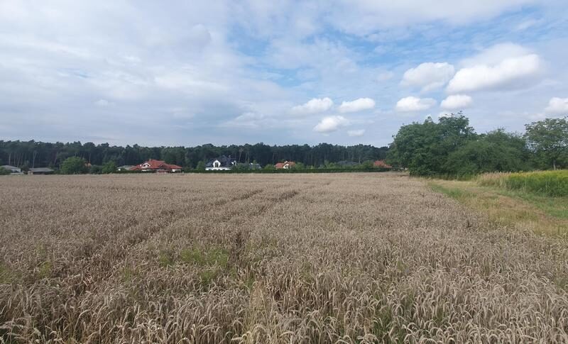 Piękna działka budowlana blisko lasu- 17ar-Świdnik - ŚWIDNIK, ŚWIDNIK, LUBELSKIE na SPRZEDAŻ