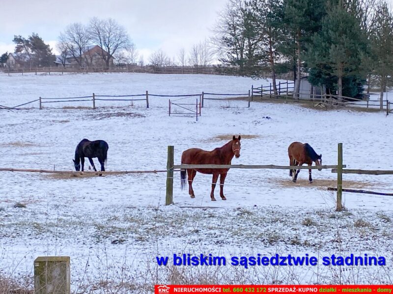 DOM na SPRZEDAŻ, FAJSŁAWICE, FAJSŁAWICE