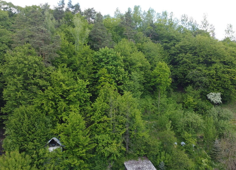 Dwa domy wolnostojące (jeden rodzinny, drugi z pokojami do wynajęcia) na pięknej działce o pow. 2148 m2 przy ul. Doły 1,5 km od rynku w Kazimierzu Dolnym pow. p- KAZIMIERZ DOLNY, KAZIMIERZ DOLNY, LUBELSKIE na SPRZEDAŻ