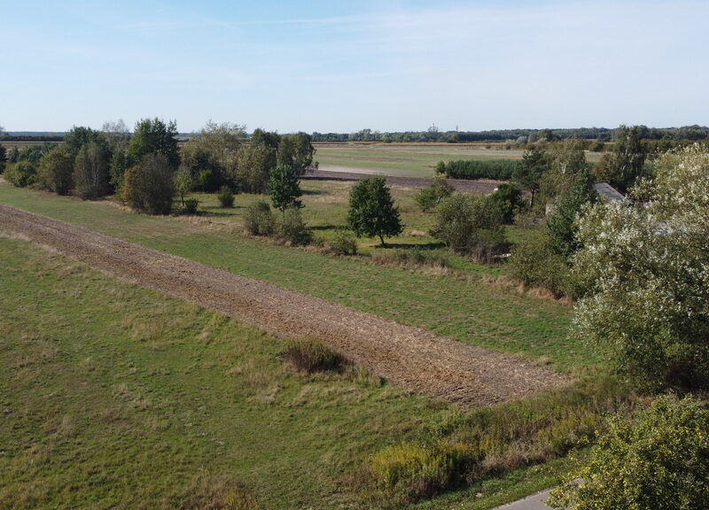 Działka budowlana 0.55 ha Sielce gm. Końskowola