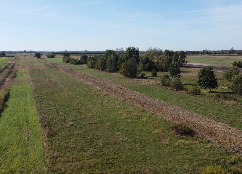 Działka budowlana 0.55 ha Sielce gm. Końskowola - KOŃSKOWOLA, LUBELSKIE na SPRZEDAŻ