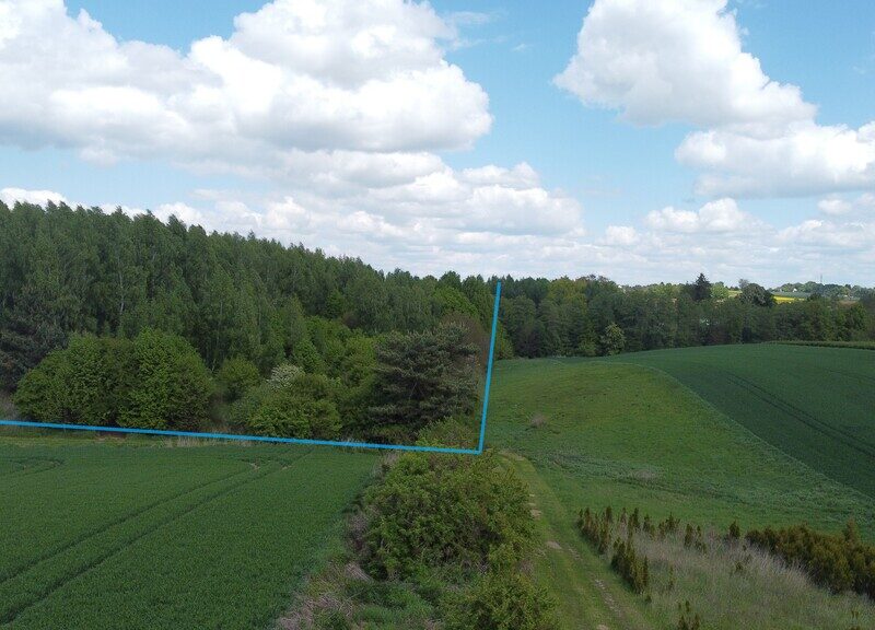 Działka 2,15 ha z potencjałem koło Nałęczowa. - CHRUSZCZÓW-KOLONIA, NAŁĘCZÓW, LUBELSKIE na SPRZEDAŻ