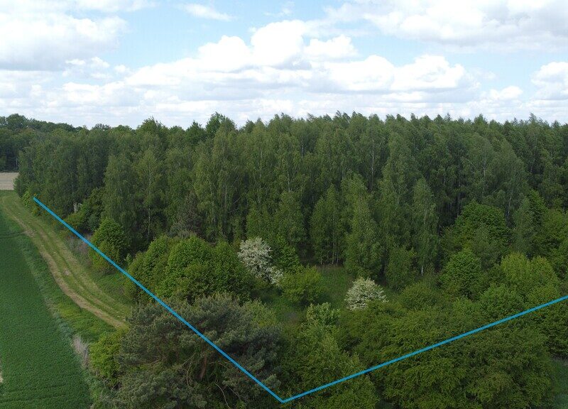 Duża działka o pow. 2,15 ha (20150 m2) składająca się z dwóch  o kształcie trapezu,   zadrzewiona położona na wzgórzu w m. Chruszczów Kolonia gm. Nałęczów pow. - CHRUSZCZÓW-KOLONIA, NAŁĘCZÓW, LUBELSKIE na SPRZEDAŻ