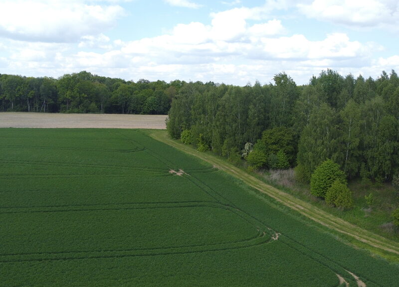 Działka 2,15 ha z potencjałem koło Nałęczowa.