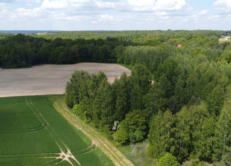 Działka 2,15 ha z potencjałem koło Nałęczowa.