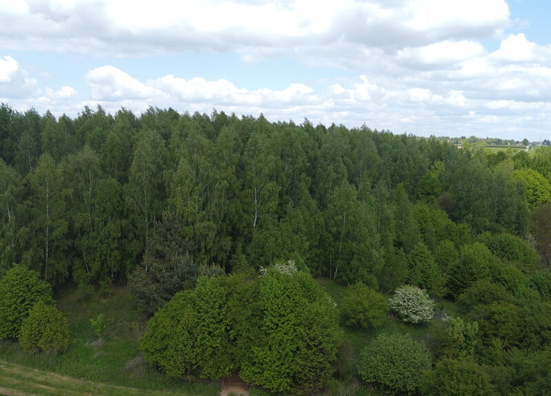 DZIAŁKA na SPRZEDAŻ, NAŁĘCZÓW, NAŁĘCZÓW