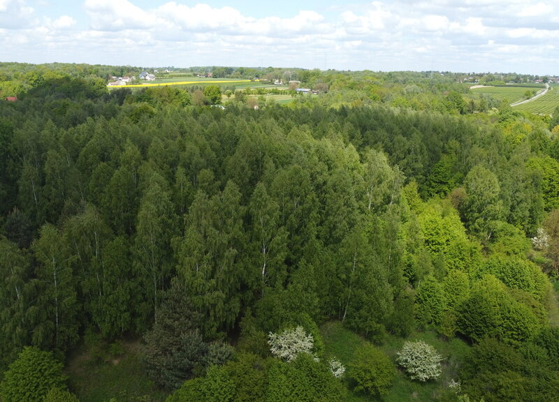 Działka 2,15 ha z potencjałem koło Nałęczowa.