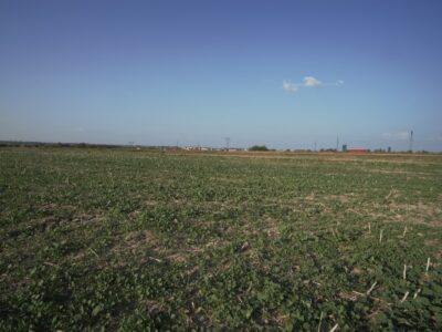 Działka 0,82ha U/MN Wólka gm. Długie pod Lublinem.