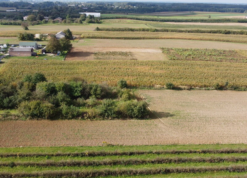 Działka, Motycz, 8.5 ar,  ~~Działka:~- 3 linia zabudowy~- 850m2~- wymiary 18x48m~~Media:~- prąd~- woda~- gaz~~Lokalizacja:~- Motycz~- powiat lubelski~- gmina Ko- MOTYCZ, KONOPNICA, LUBELSKIE na SPRZEDAŻ