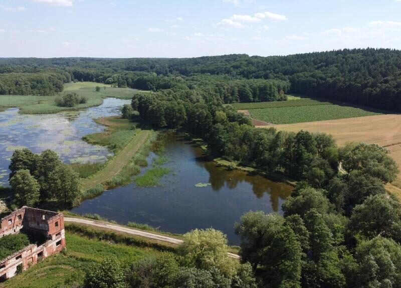 Działka 35 ha w tym 13,5 ha pod lustrem wody jako stawy rybne wraz z ruinami dawnej papierni Czartoryskich z możliwością wykorzystania pod usługi turystyczno-ho- CELEJÓW, WĄWOLNICA, LUBELSKIE na SPRZEDAŻ