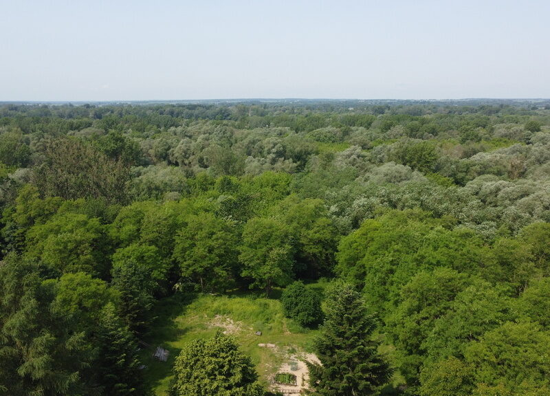 Działka 0,21 ha w Kaliszanach Kolonii gm. Józefów.