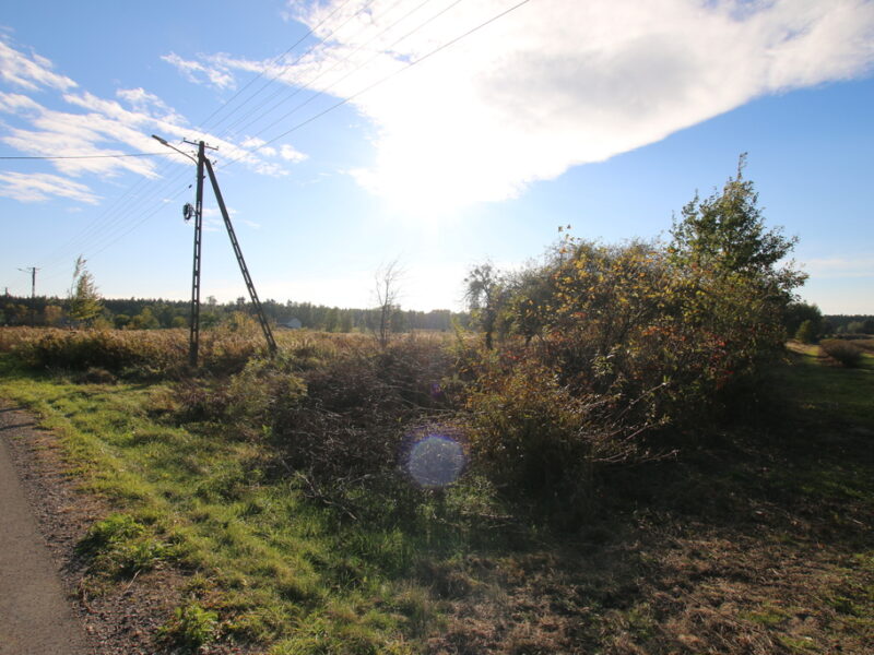 Działka ok. 1500 m2 w miejscowości Kozioł  g. Baranów 25 km od Puław. ~Działka zagrodowa z dopuszczeniem realizacji zabudowy mieszkaniowej jednorodzinnej ~Pierw- KOZIOŁ, BARANÓW, LUBELSKIE na SPRZEDAŻ