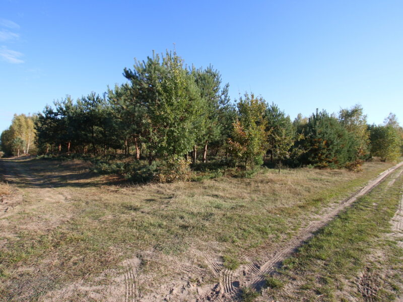 DZIAŁKA na SPRZEDAŻ, BARANÓW, BARANÓW