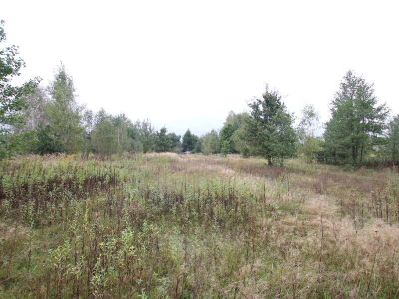 DZIAŁKA na SPRZEDAŻ, MICHÓW, MICHÓW