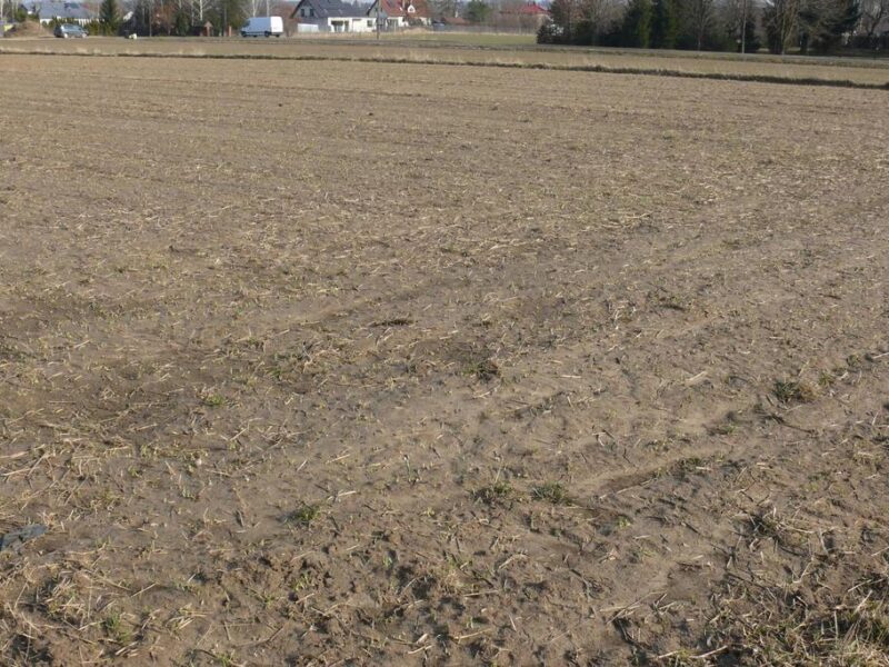 46,3arDZIAŁKA INWESTYCYJNA!!! - STRZYŻEWICE, LUBELSKIE na SPRZEDAŻ