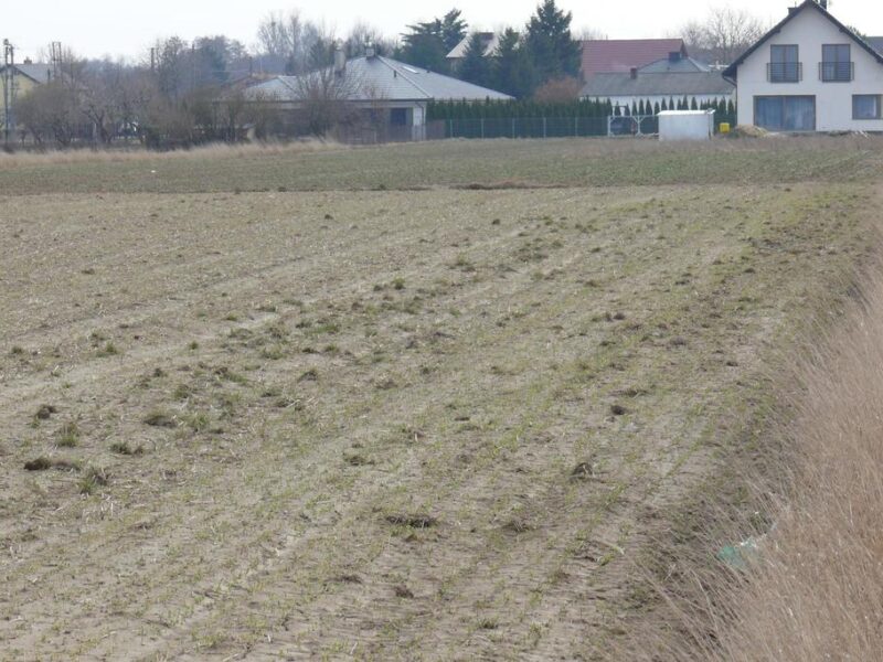 46,3arDZIAŁKA INWESTYCYJNA!!! - STRZYŻEWICE, LUBELSKIE na SPRZEDAŻ