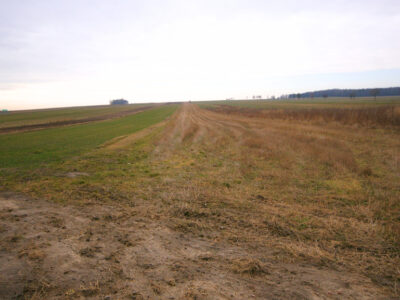 3 działki o łącznej powierzchni 2.4 ha, Borzechów