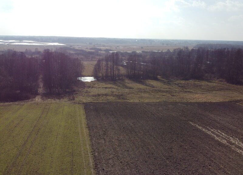 Piękna działka rolno-budowlana, Żminne, Parczew.