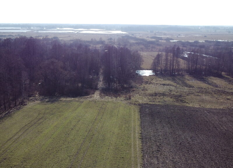 DZIAŁKA na SPRZEDAŻ, SIEMIEŃ, SIEMIEŃ