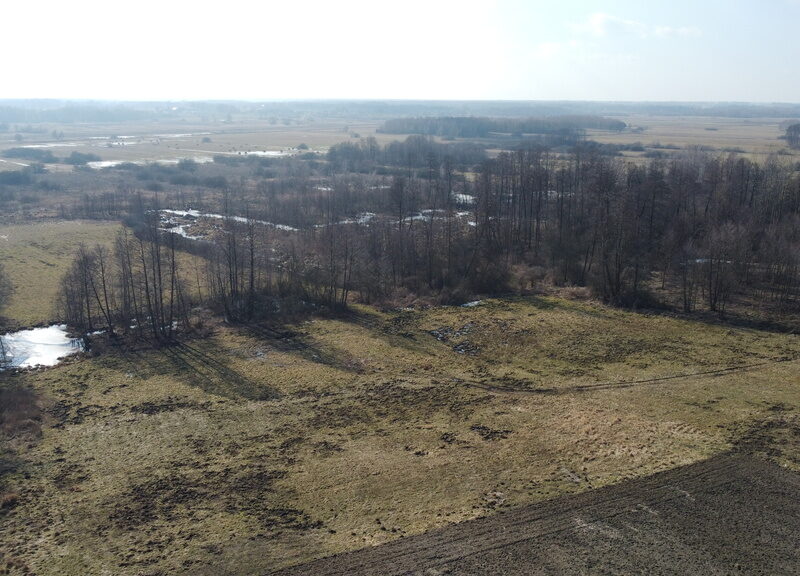 Piękna działka rolno-budowlana, Żminne, Parczew.