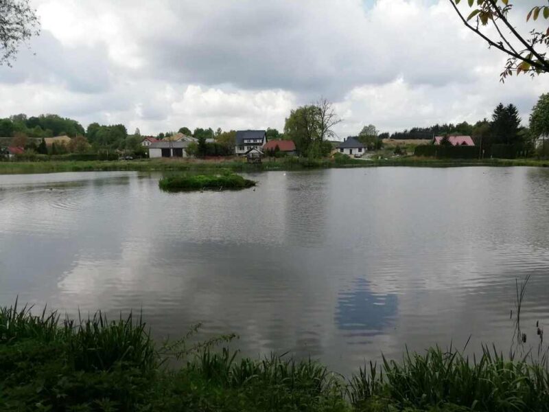 Działka o pow. 4,6 ha w Klementowicach gm. Kurów.
