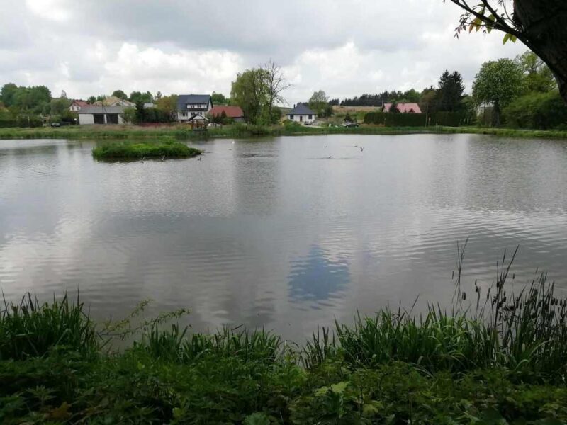 Działka o pow. 4,6 ha w Klementowicach gm. Kurów.