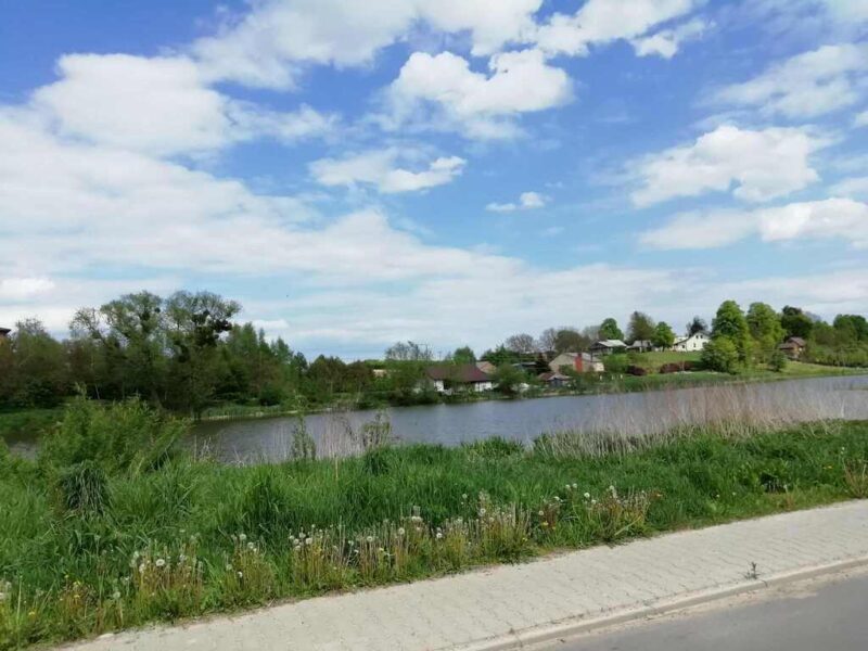 Działka o pow. 4,6 ha w Klementowicach gm. Kurów.