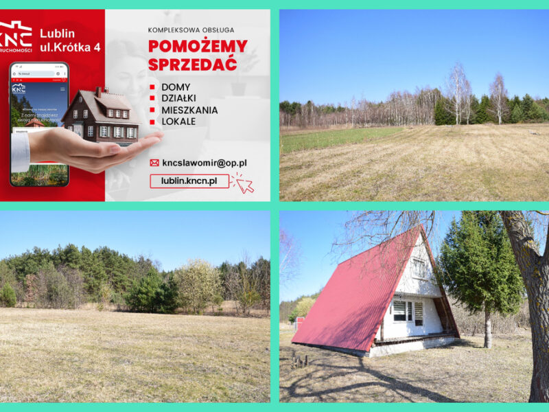 B ładna działka z domkiem letniskowym, własny las. - PLIZIN, PONIATOWA, LUBELSKIE na SPRZEDAŻ