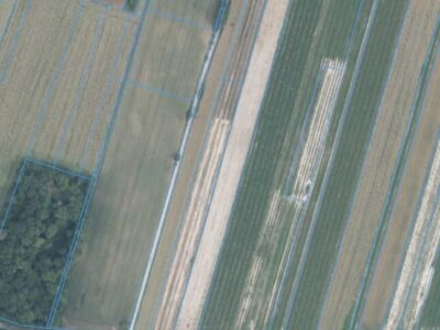 Działka RM/RP1,14ha-Bartłomiejowice, gm. Wąwolnica