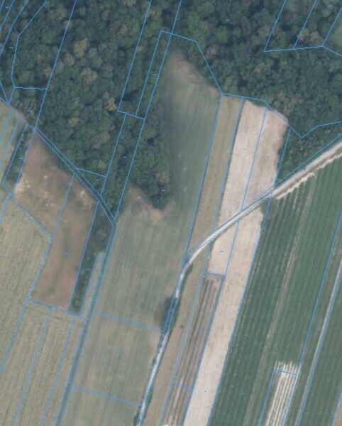 Bartłomiejowice gm. Wąwolnica-działka rolna - BARTŁOMIEJOWICE, WĄWOLNICA, LUBELSKIE na SPRZEDAŻ