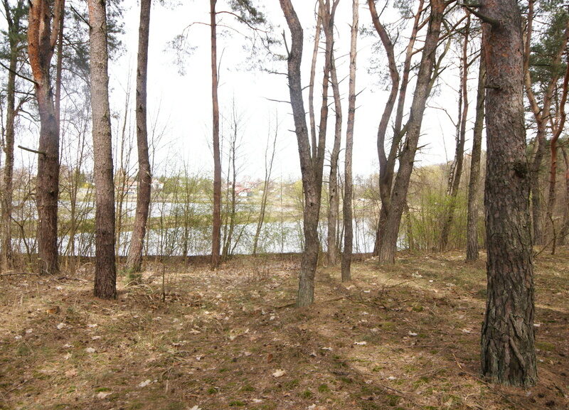 5,42 ha, Stawy rybne, las, Zemborzyce, Lublin