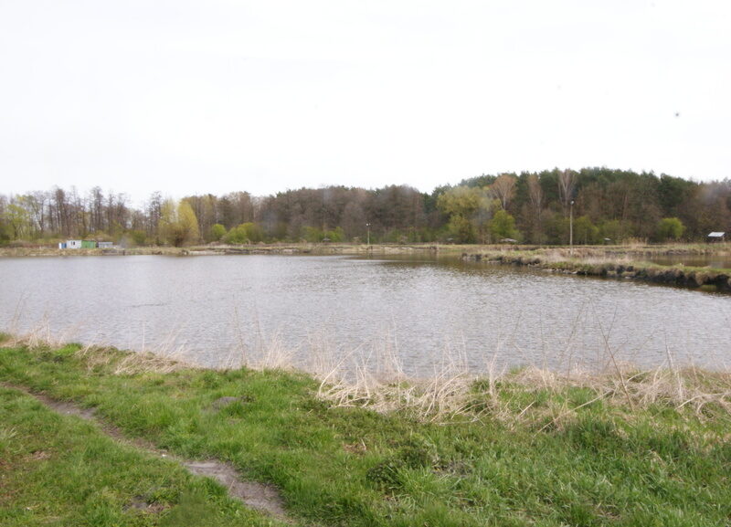 5,42 ha, Stawy rybne, las, Zemborzyce, Lublin