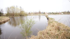 5,42 ha, Stawy rybne, las, Zemborzyce, Lublin | ogłoszenia Lubelskie