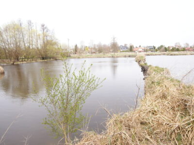 5,42 ha, Stawy rybne, las, Zemborzyce, Lublin