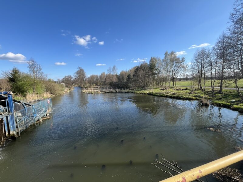 Siedlisko w otoczeniu natury Borowiec gm Ciepielów - BOROWIEC, CIEPIELÓW, MAZOWIECKIE na SPRZEDAŻ