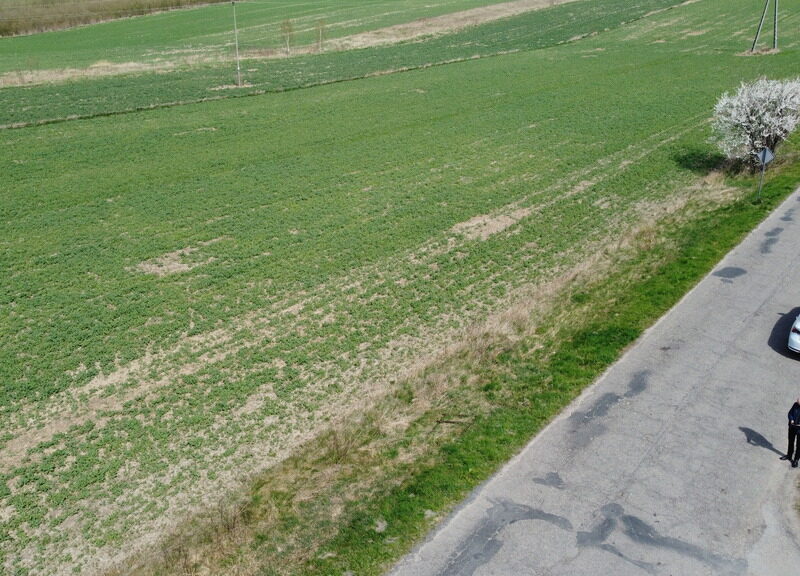 Wojszyn - działka budowlana 3163 m² z MPZP - JANOWIEC, LUBELSKIE na SPRZEDAŻ