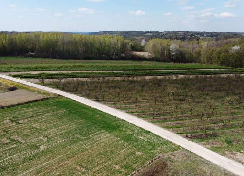Działka pod zabudowę 3318 m2 Góry Kazimierz Dolny. - KAZIMIERZ DOLNY, LUBELSKIE na SPRZEDAŻ