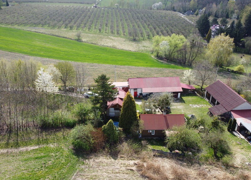 Siedlisko 3031 m2  Skowieszynek  Kazimierz Dolny. - KAZIMIERZ DOLNY, LUBELSKIE na SPRZEDAŻ