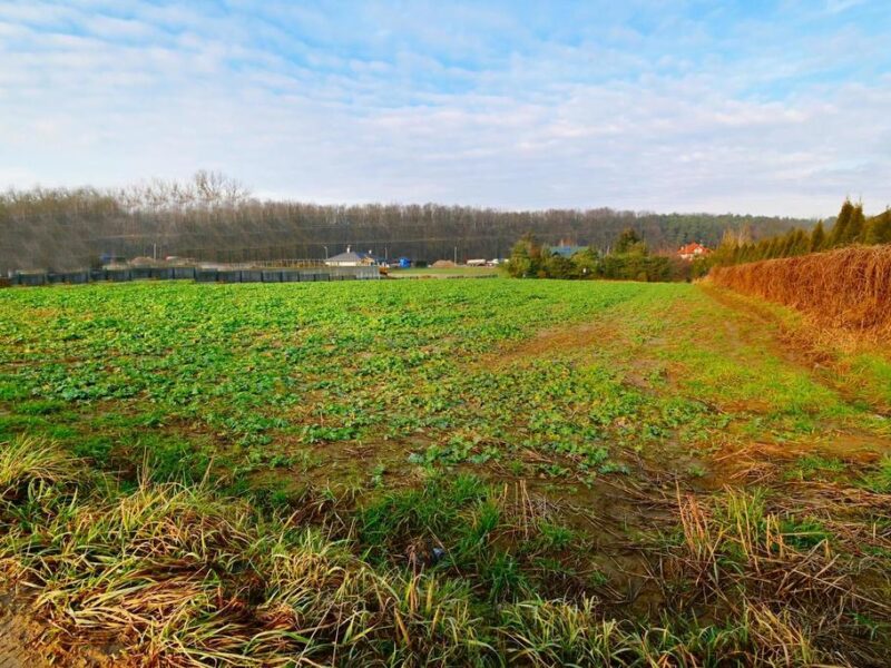 18ar działki III linia zabudowy - Lublin Wrotków - LUBLIN, LUBELSKIE na SPRZEDAŻ
