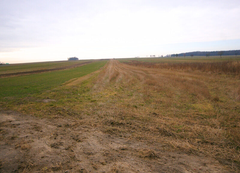 3 działki o łącznej powierzchni 2.4 ha, Borzechów - BORZECHÓW, LUBELSKIE na SPRZEDAŻ