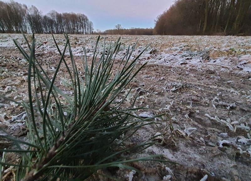 30a w doskonałej lokalizacji pod Kazimierzem D