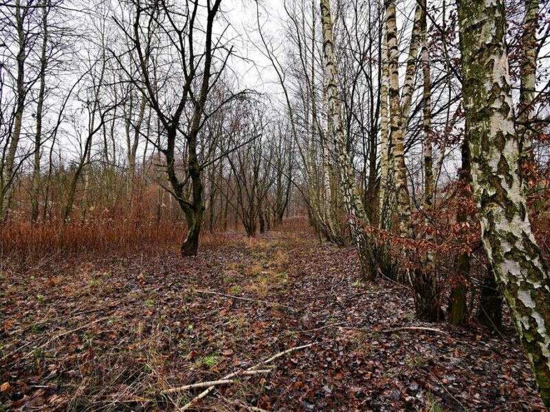Pięknie położona działka pod budownictwo jednorodzinne w gminie Kazimierz Dolny...~~30 arowa działka położona w dogodnej lokalizacji pod Kazimierzem Dolnym - Od- KAZIMIERZ DOLNY, LUBELSKIE na SPRZEDAŻ