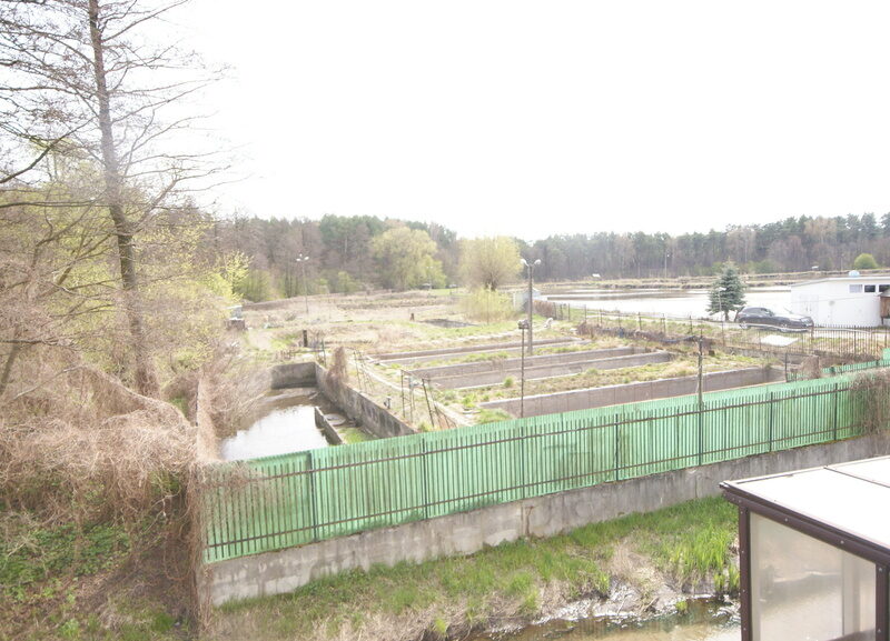 5,42 ha, Stawy rybne, las, Zemborzyce, Lublin