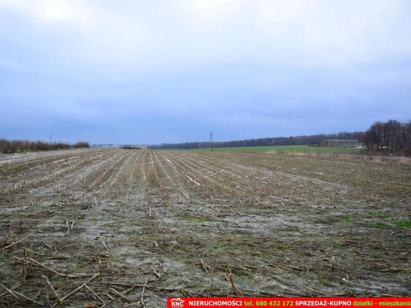 Wierciszów, działki budowlane MN, media 100%.