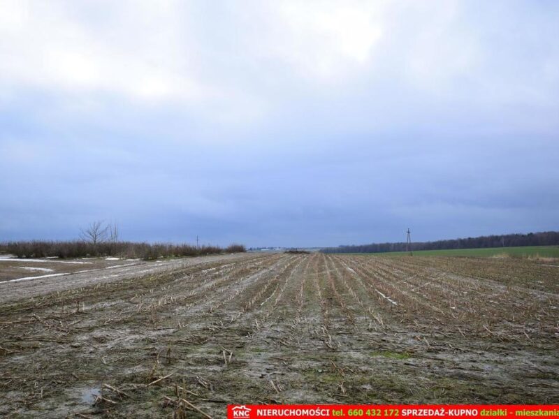 Wierciszów, działki budowlane MN, media 100%. - JABŁONNA, LUBELSKIE na SPRZEDAŻ