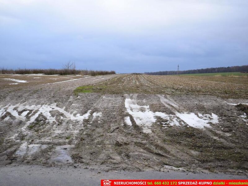 DZIAŁKA na SPRZEDAŻ, JABŁONNA, JABŁONNA