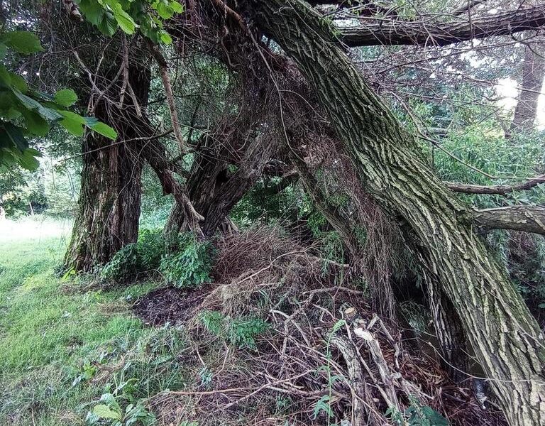 Łąka pod Lublinem- miejsce na odpoczynek nad rzeką!