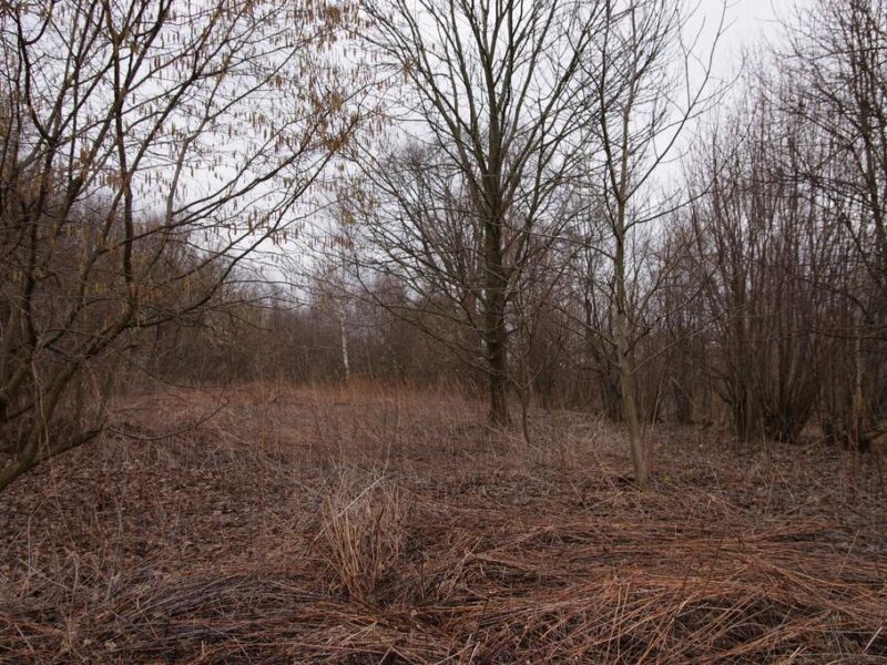 Duża działka rolno-budowlana z przeznaczeniem na zabudowę jednorodzinną lub pensjonat w Kazimierzu Dolnym. W działce jest prąd, gaz i woda.~~Działka:~-powierzch- KAZIMIERZ DOLNY, KAZIMIERZ DOLNY, LUBELSKIE na SPRZEDAŻ