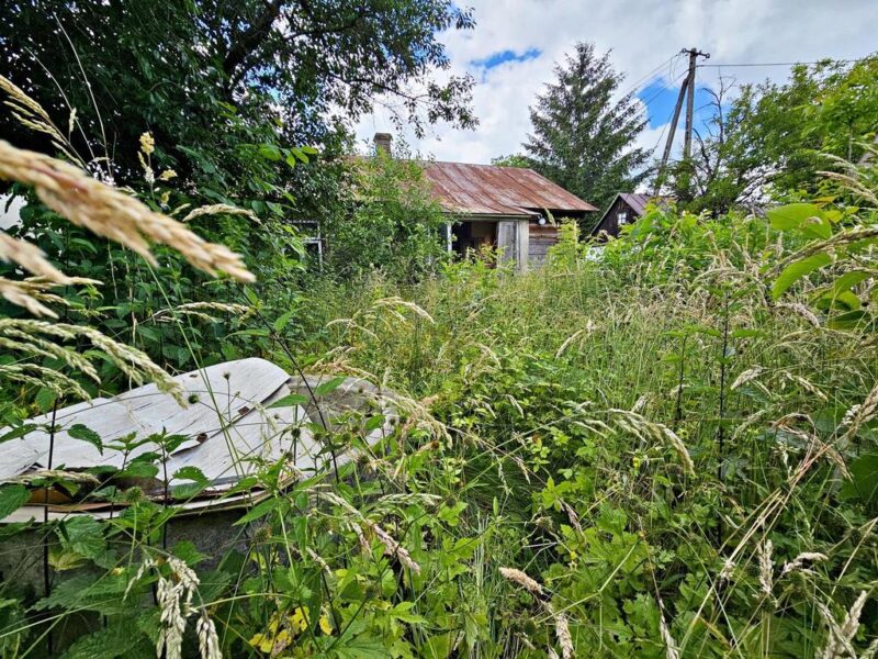 Atrakcyjna działka z domem - Zalesie gm. Niemce - ZALESIE, NIEMCE, LUBELSKIE na SPRZEDAŻ